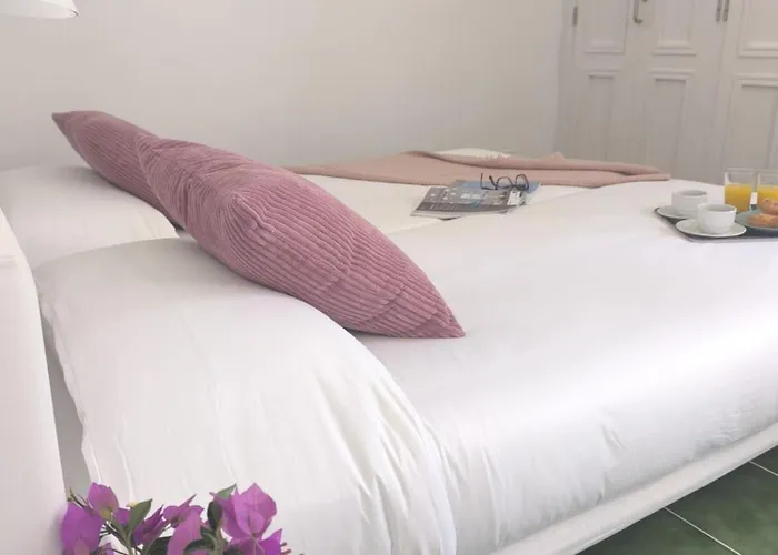 Buganvilla * Тиас