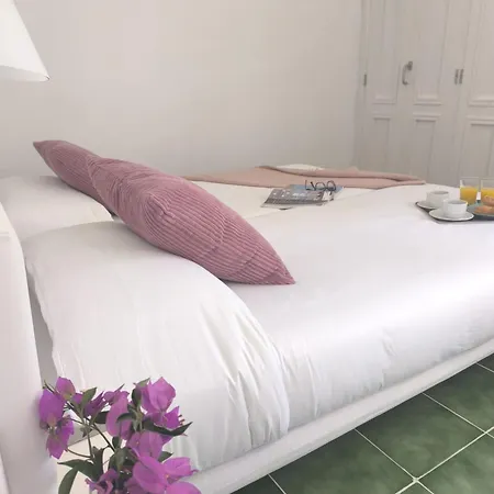Buganvilla * Tias